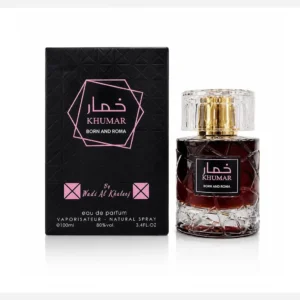 عطر ادکلن مردانه خمار بورن اند روما وادی الخلیج حجم 100 میل اورجینال - بلو قسط | خرید اقساطی و آنلاین